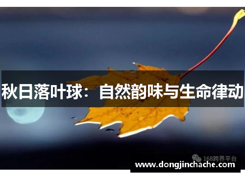 秋日落叶球：自然韵味与生命律动