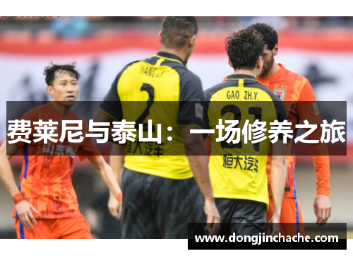 费莱尼与泰山：一场修养之旅